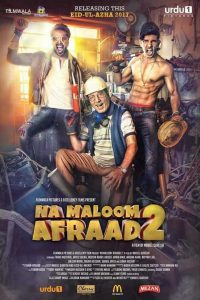 Download Na Maloom Afraad 2 (2017) Pakistani Movie WEBRip 480p [400MB] | 720p [1GB]